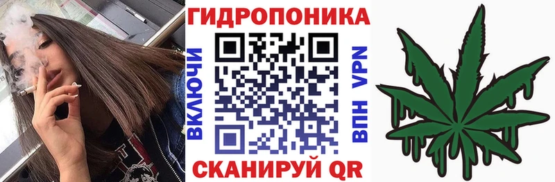 как найти закладки  kraken ТОР  Канабис ГИДРОПОН  Озёрск 